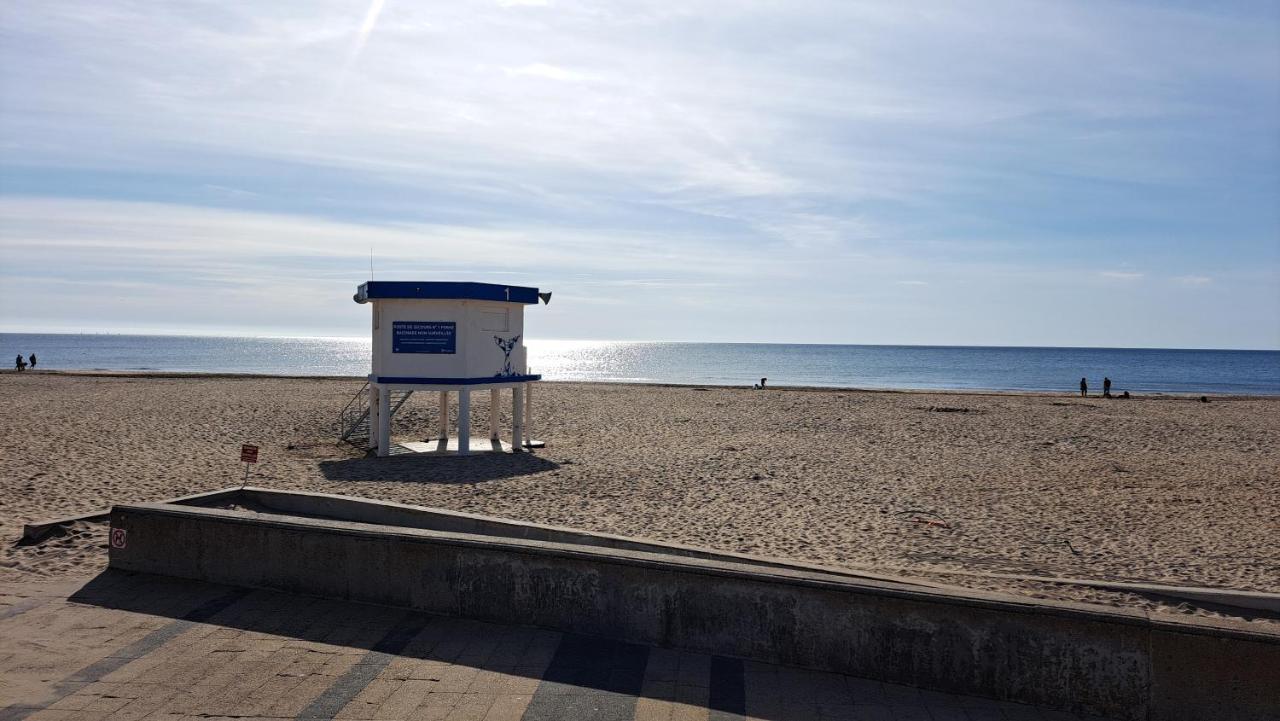 Mobile Home Climatise 3 Chambres A Narbonne Plage المظهر الخارجي الصورة